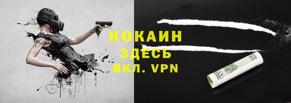 крисы Алзамай