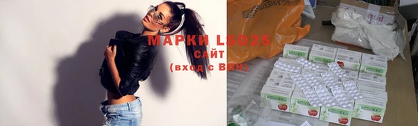 крисы Алзамай