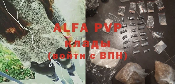крисы Алзамай