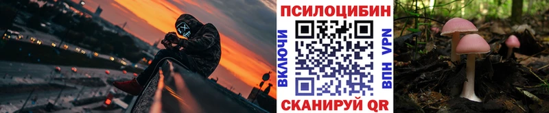 маркетплейс наркотические препараты  МЕГА зеркало  Бахчисарай  Псилоцибиновые грибы Cubensis 